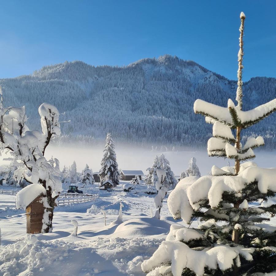 Hotel Winkler-Tuschnig Weissensee Luaran gambar