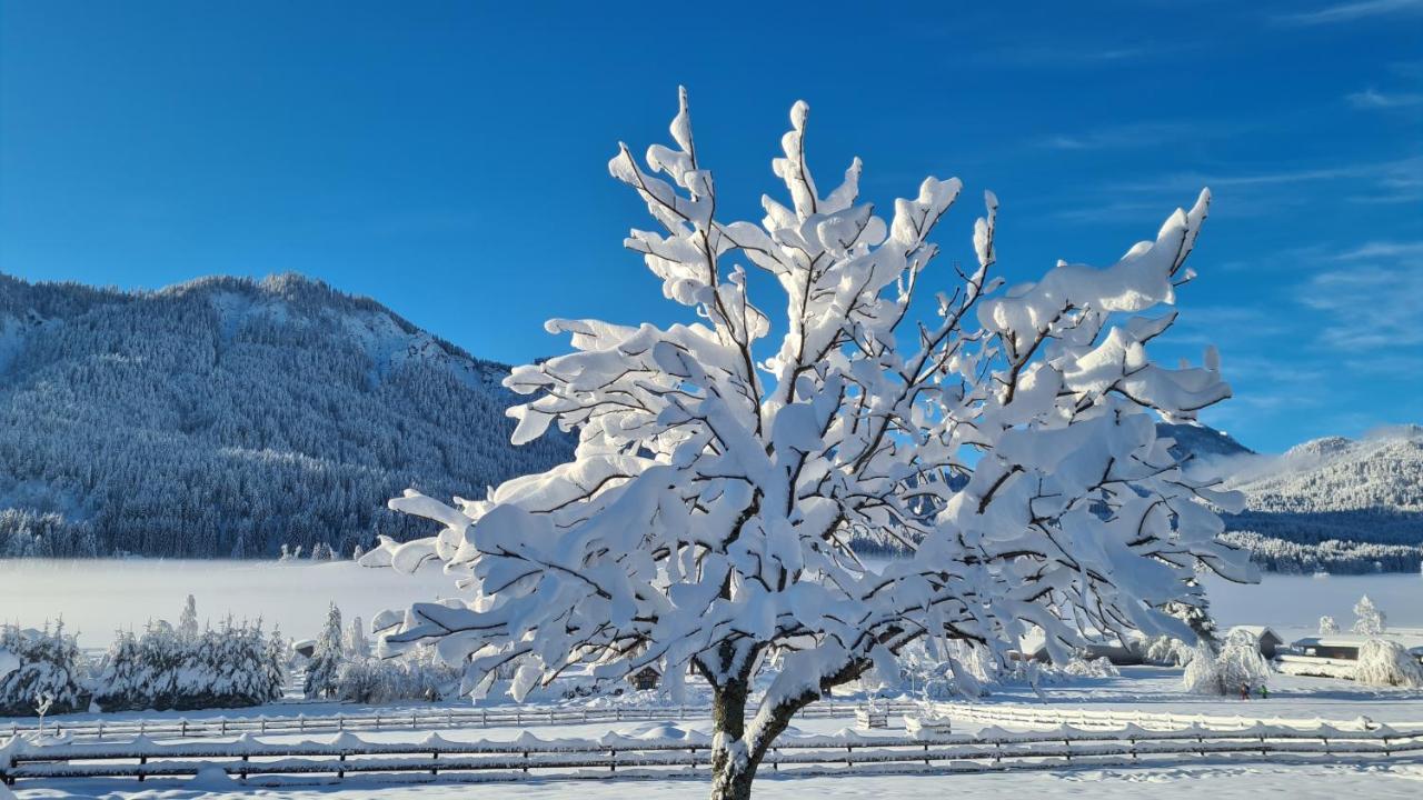 Hotel Winkler-Tuschnig Weissensee Luaran gambar